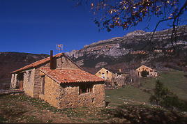 Molinias Estate in Winter