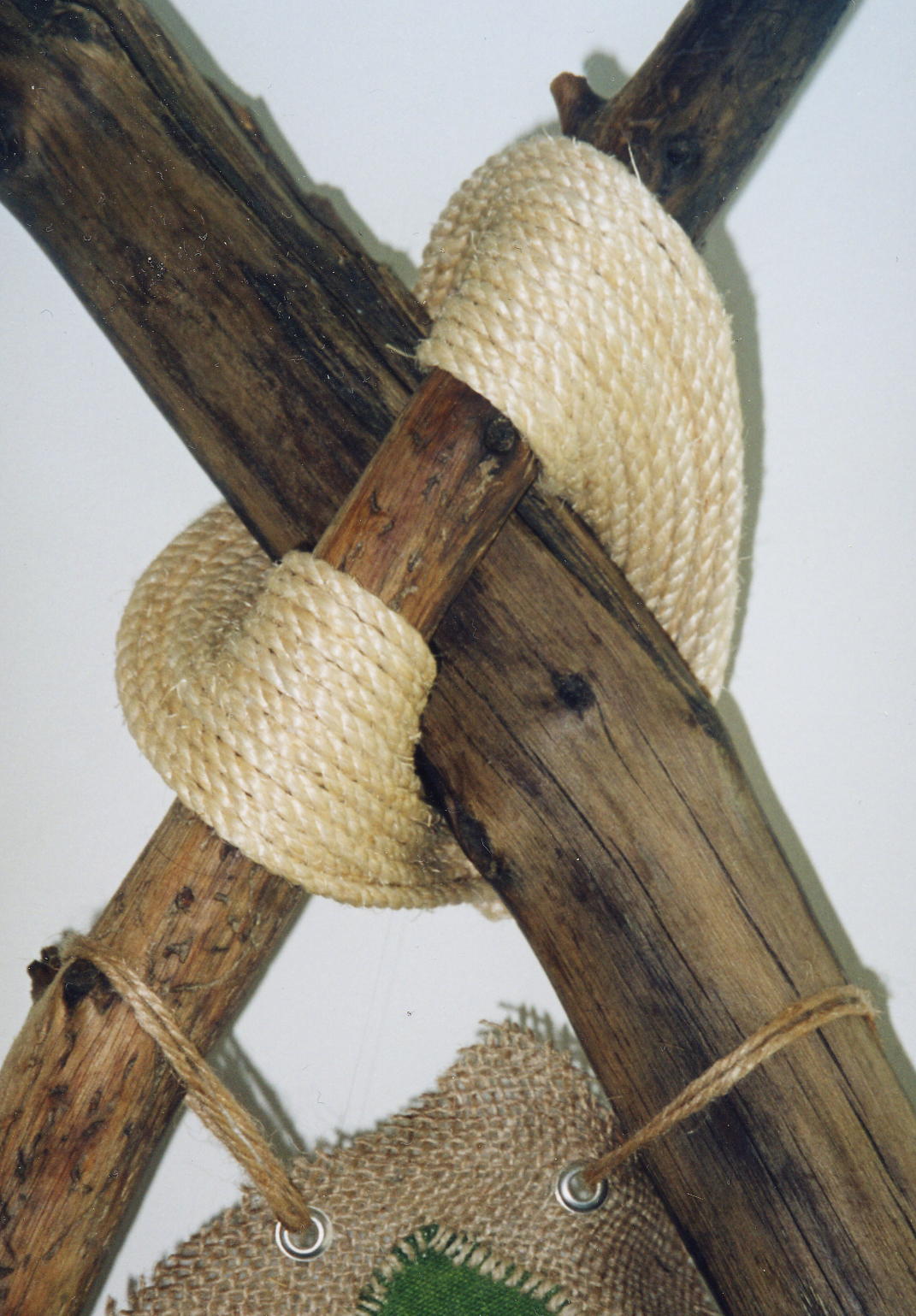 'Young Green & Sticky' - Knot detail
