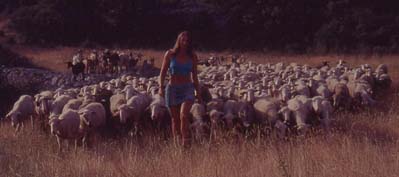 Melissa Sadie Wright. Pied piper of sheep!