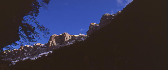 Shadows Of The Night