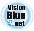 Vision Blue Logo